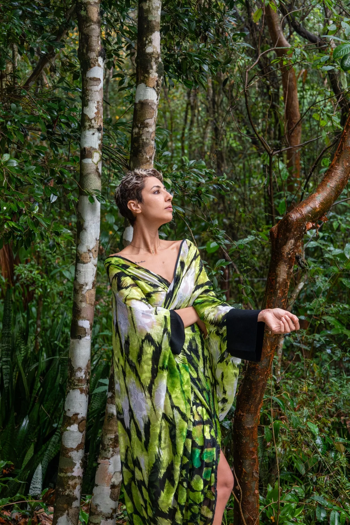 Jungle Presence 5